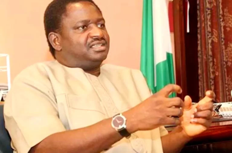 Femi Adesina Slams Group For Criticising President Buhari