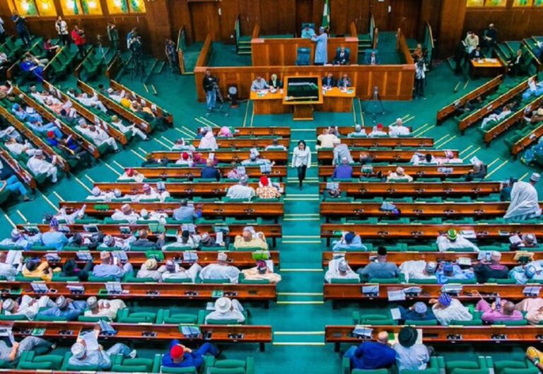 House Of Reps Summons Ministry Of Trade Officials Over N2.6trillion Tax Evasion