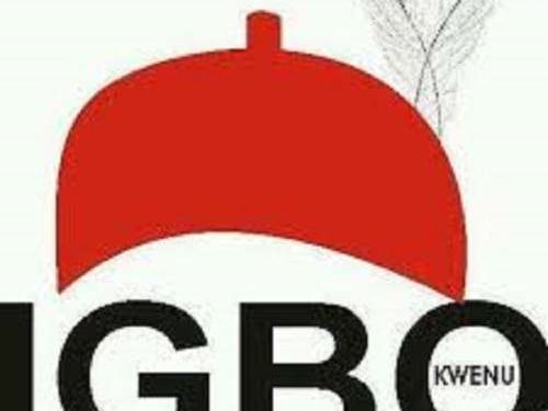 2023: Igbo Group Set To Meet To Produce President