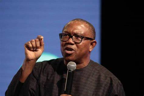 2023 Elections: Peter Obi Picks PDP Presidential Form, Set To Contest Against Atiku