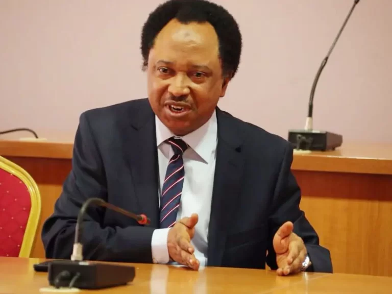 2023: Most Presidential Aspirants Are Unserious – Shehu Sani