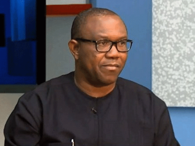 2023 Presidency: Reject VP Slot – Ohanaeze Tells Peter Obi, Others