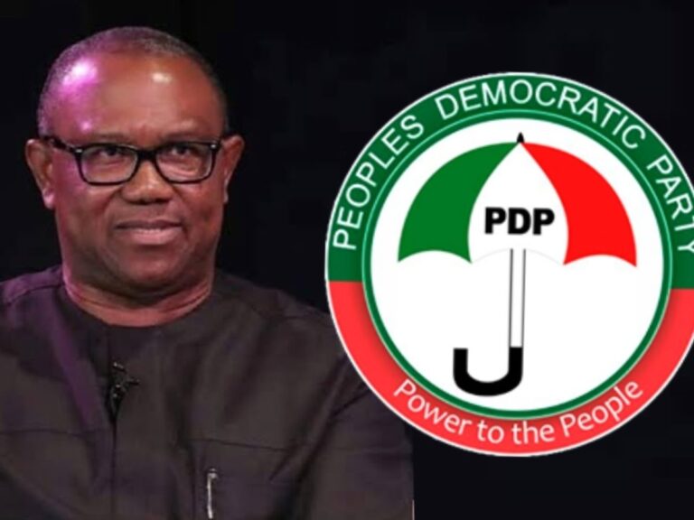 PDP Has Lost 15 Million Votes Due To Peter Obi’s Exit – Coalition