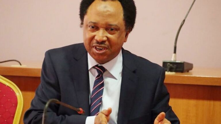2023: Shehu Sani Reveals Only Way Southerner Will Succeed Buhari