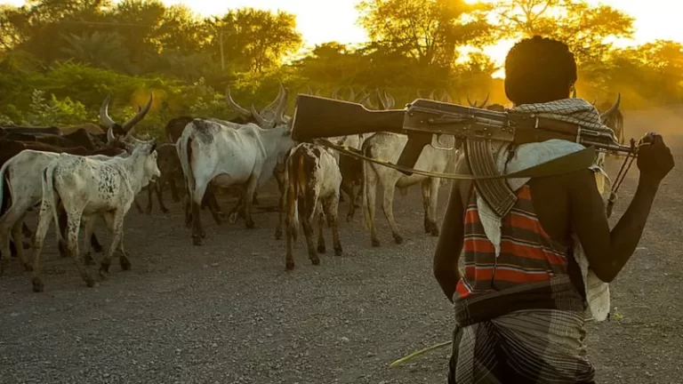 Ondo Massacre: 28 Killed, Dozens Wounded As Herdsmen Open Fire In Catholic Church
