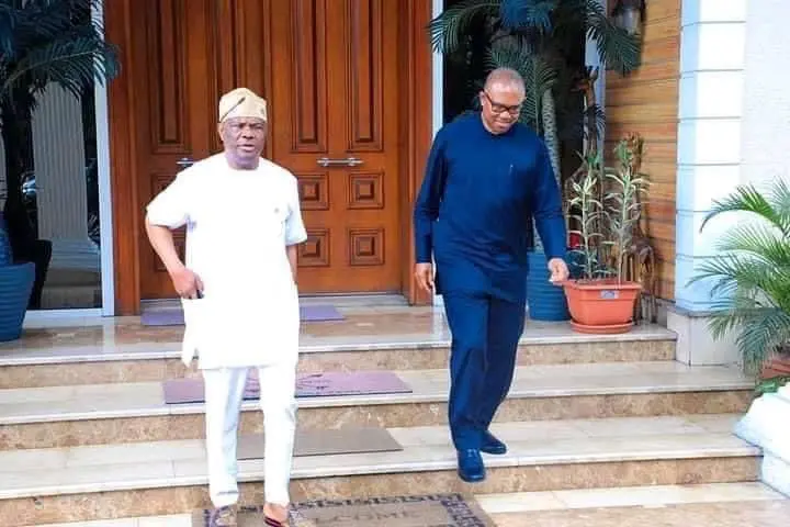 2023: Why I Visited Wike – Peter Obi